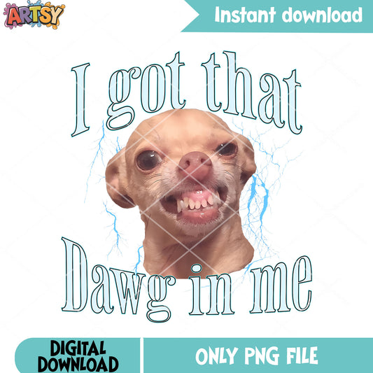 Chihuahua Funny Meme png, chihuahua dog png, angry dog png