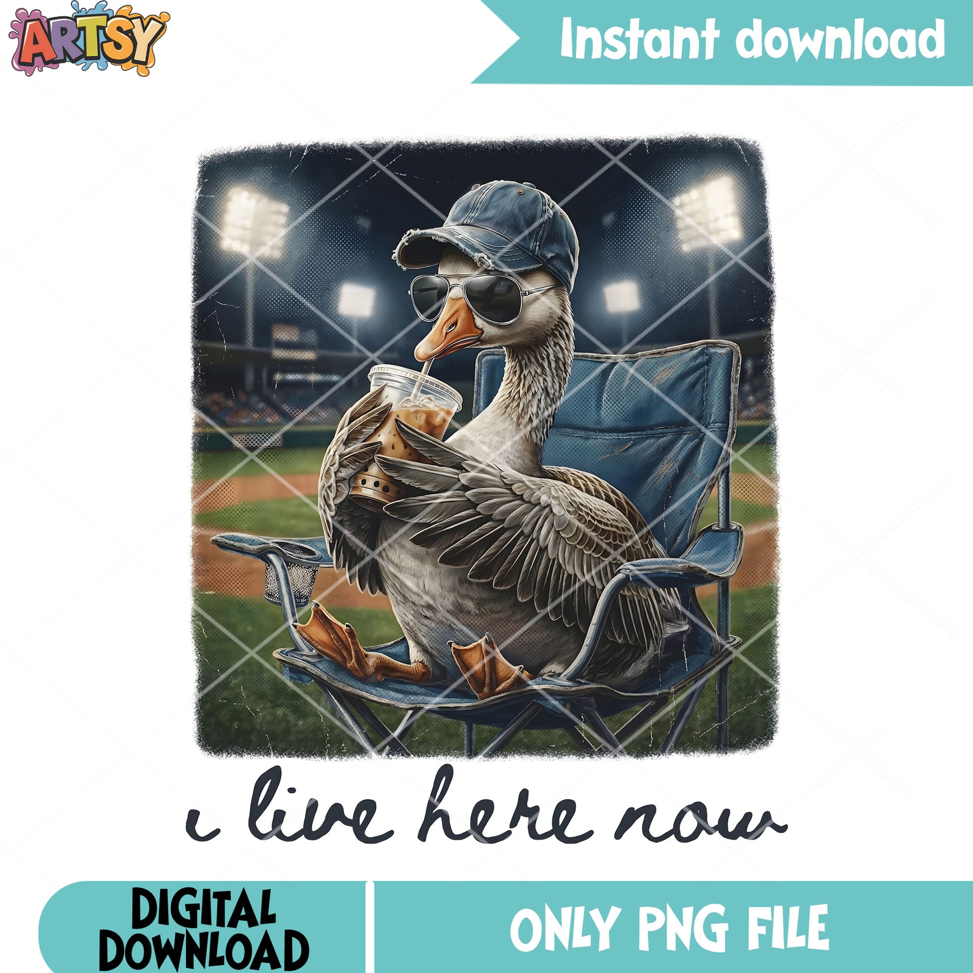 Duck baseball meme png, i live here now png, baseball mom png