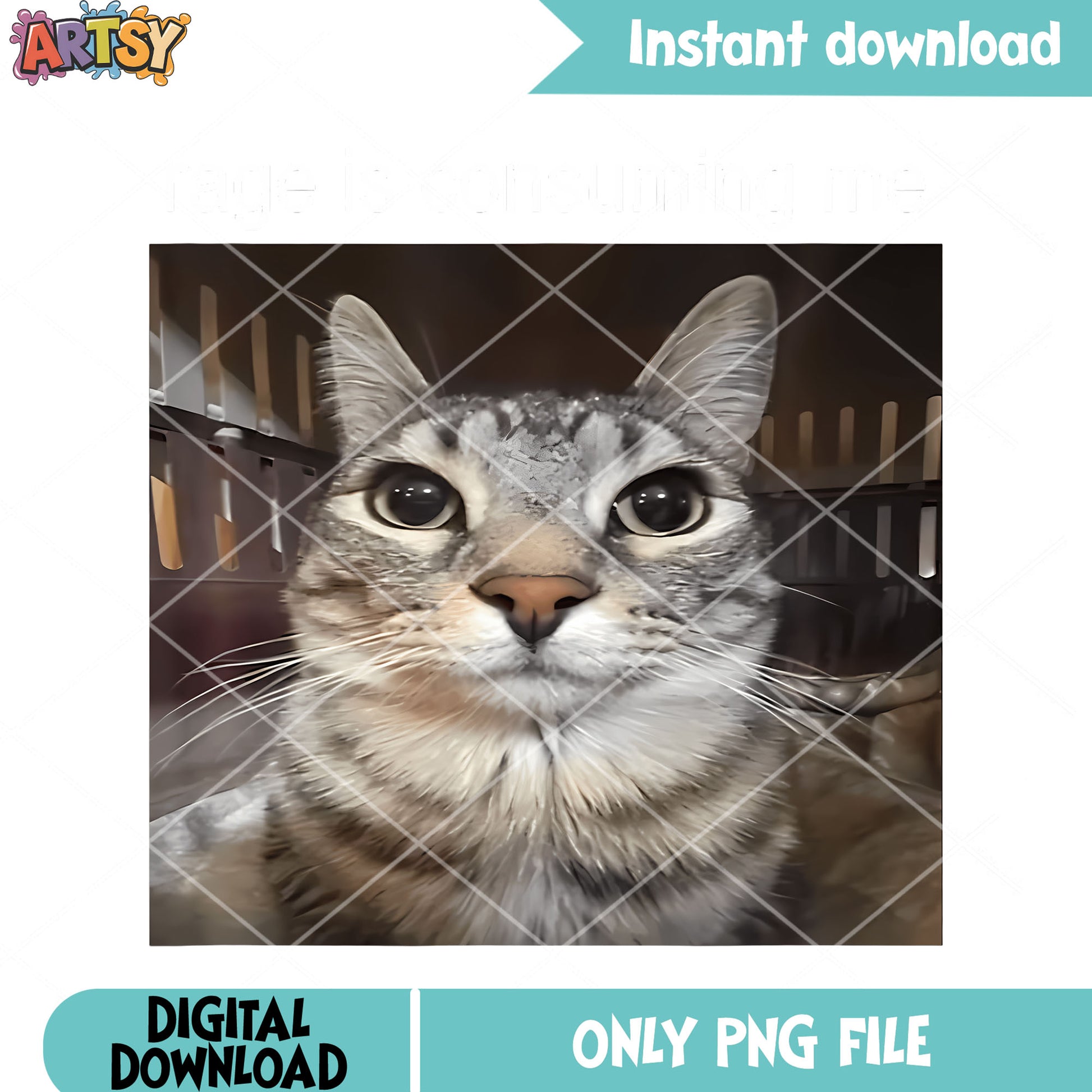 Rage Silly Staring Cat Meme png, funny cat meme png, funny art png